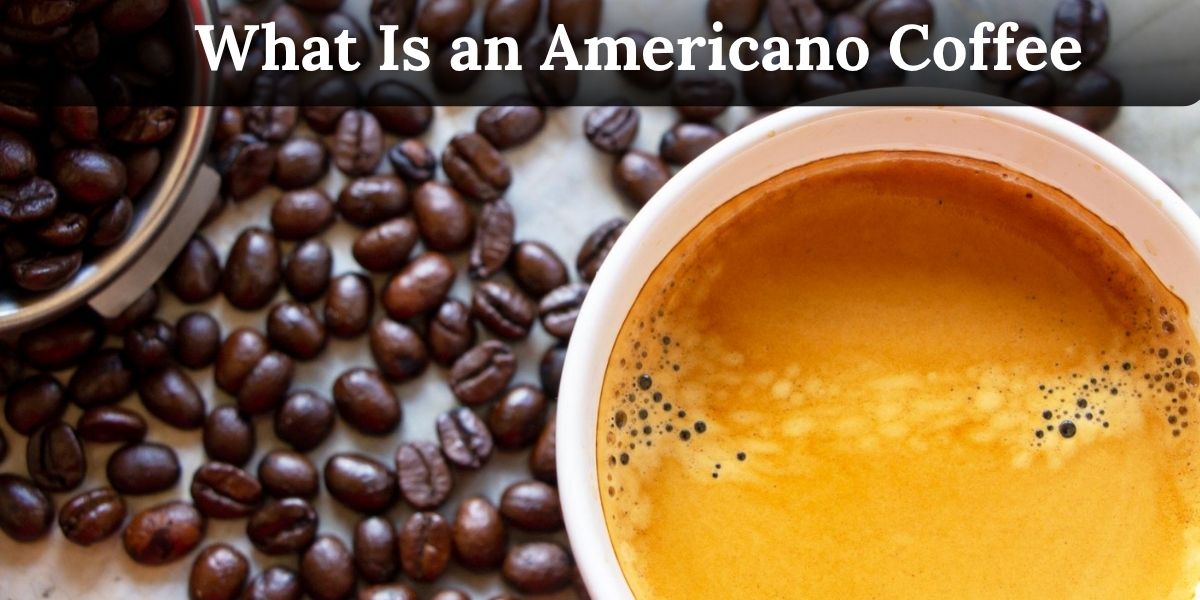 What Is an Americano Coffee & How It’s Made [7 Facts]