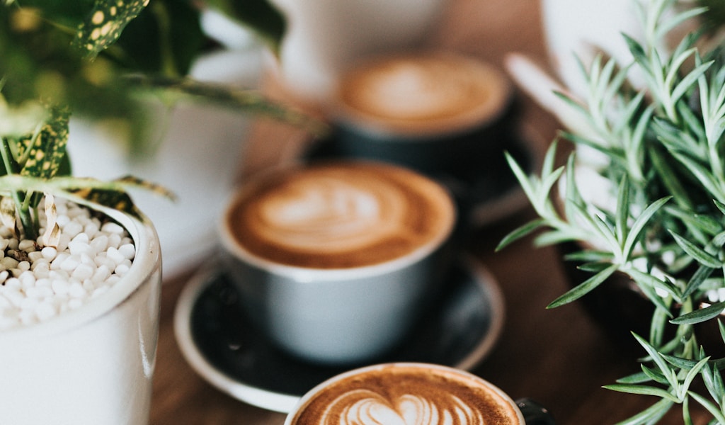 Coffee guide - beansage.com